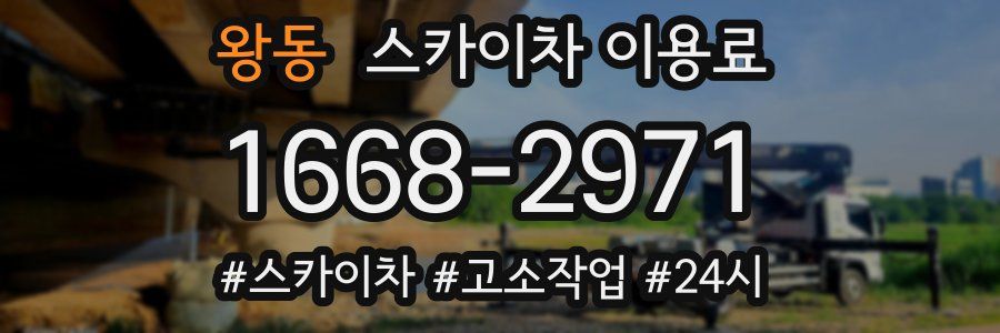 왕동 스카이차 이용료