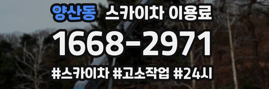 양산동 스카이차 이용료