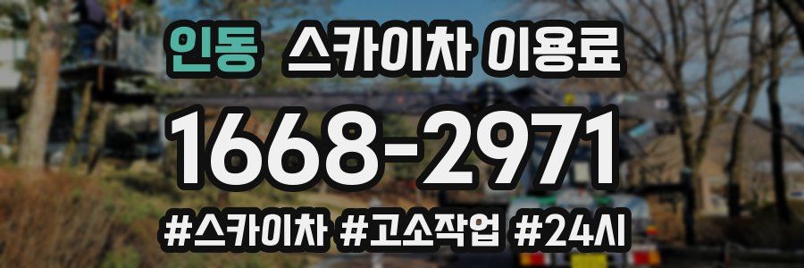 인동 스카이차 이용료
