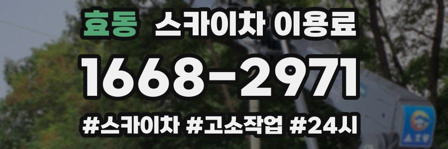 효동 스카이차 이용료