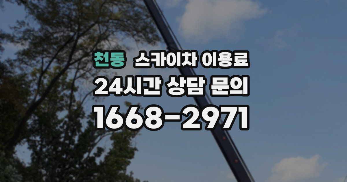 천동 스카이차 이용료