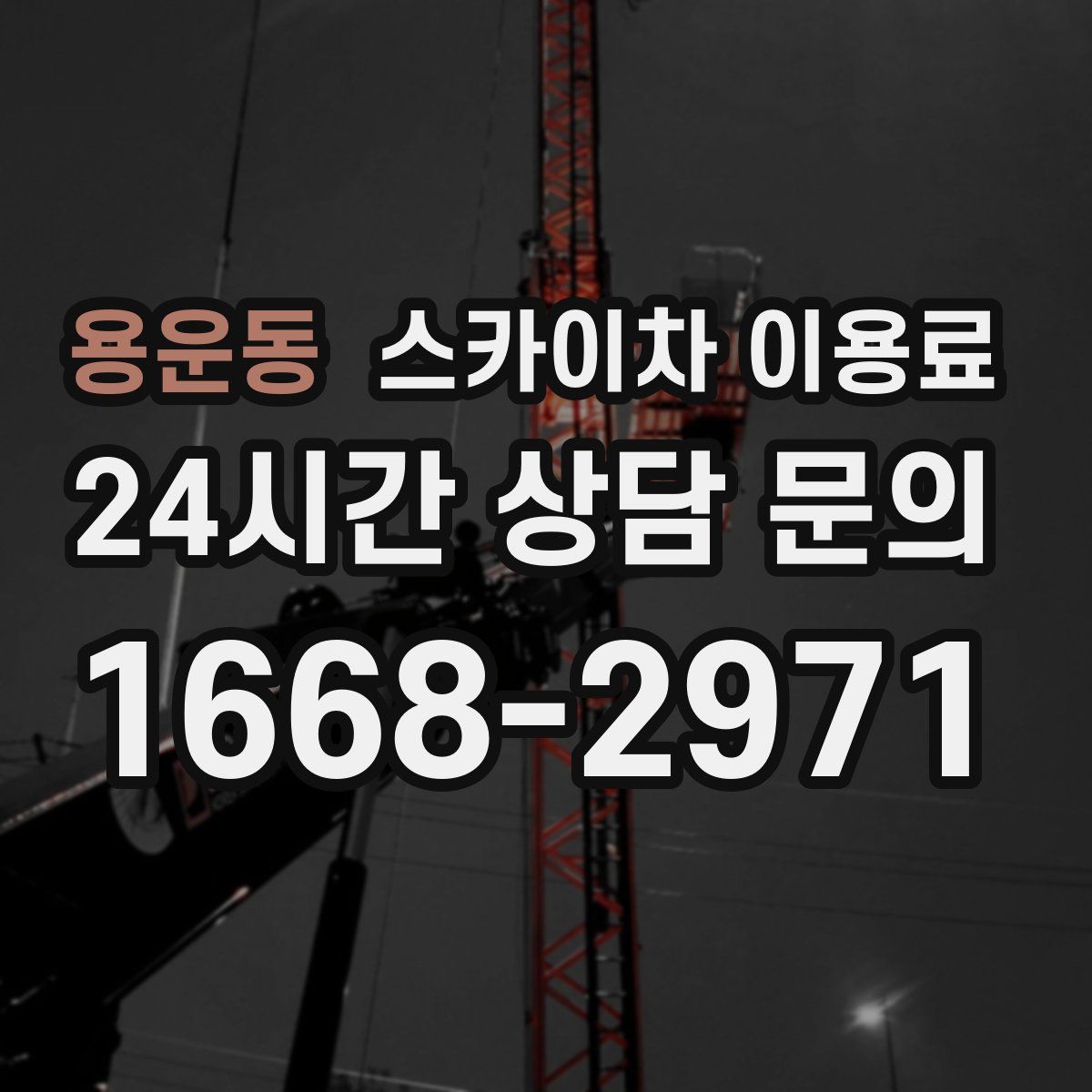 용운동 스카이차 이용료