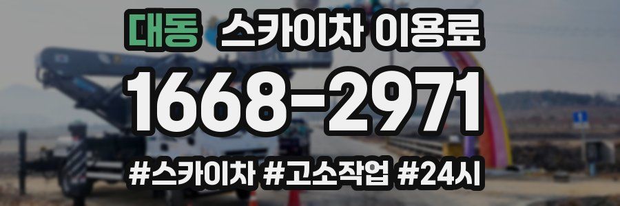대동 스카이차 이용료