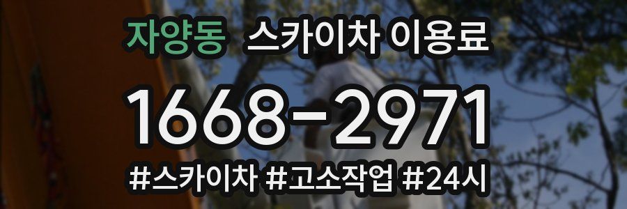 자양동 스카이차 이용료