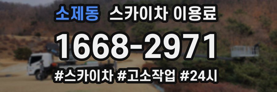 소제동 스카이차 이용료
