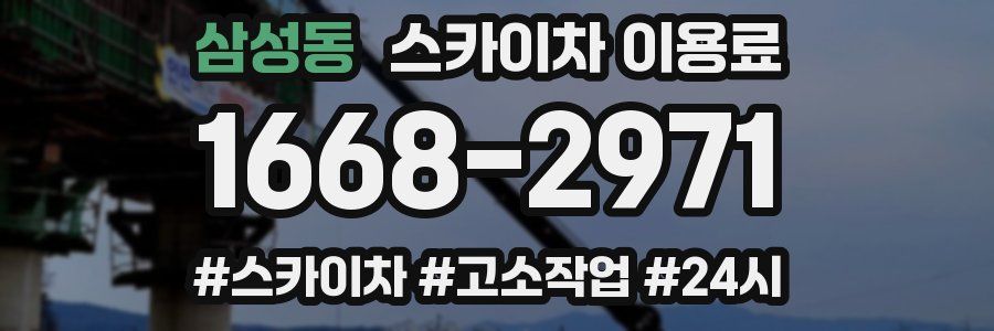 삼성동 스카이차 이용료