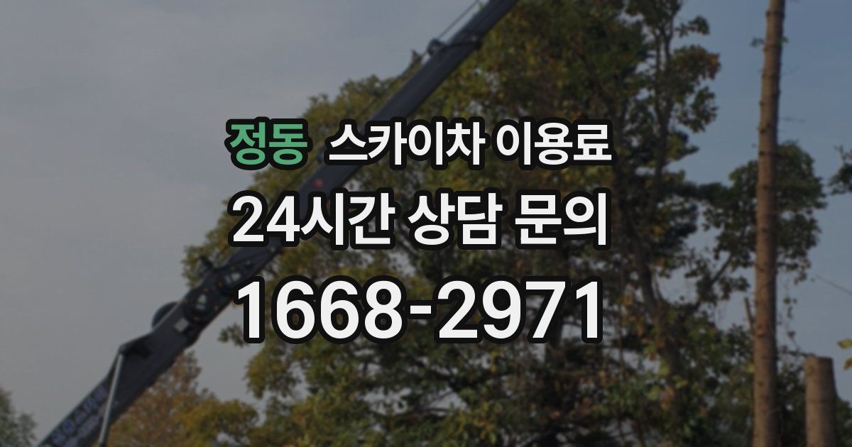 정동 스카이차 이용료