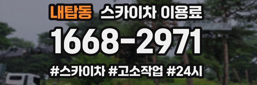 내탑동 스카이차 이용료