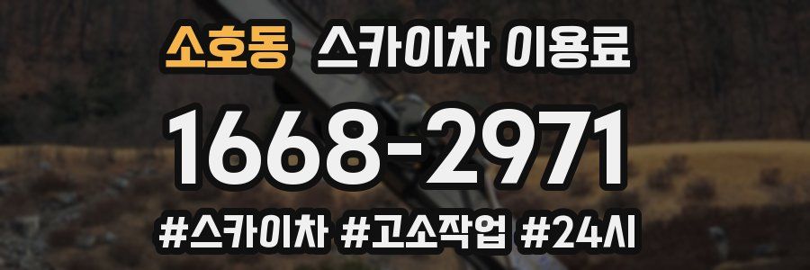 소호동 스카이차 이용료