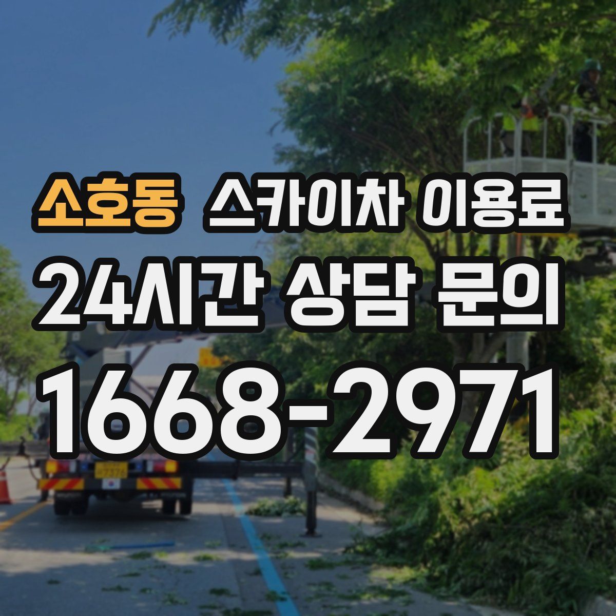 소호동 스카이차 이용료
