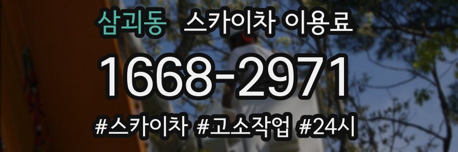 삼괴동 스카이차 이용료