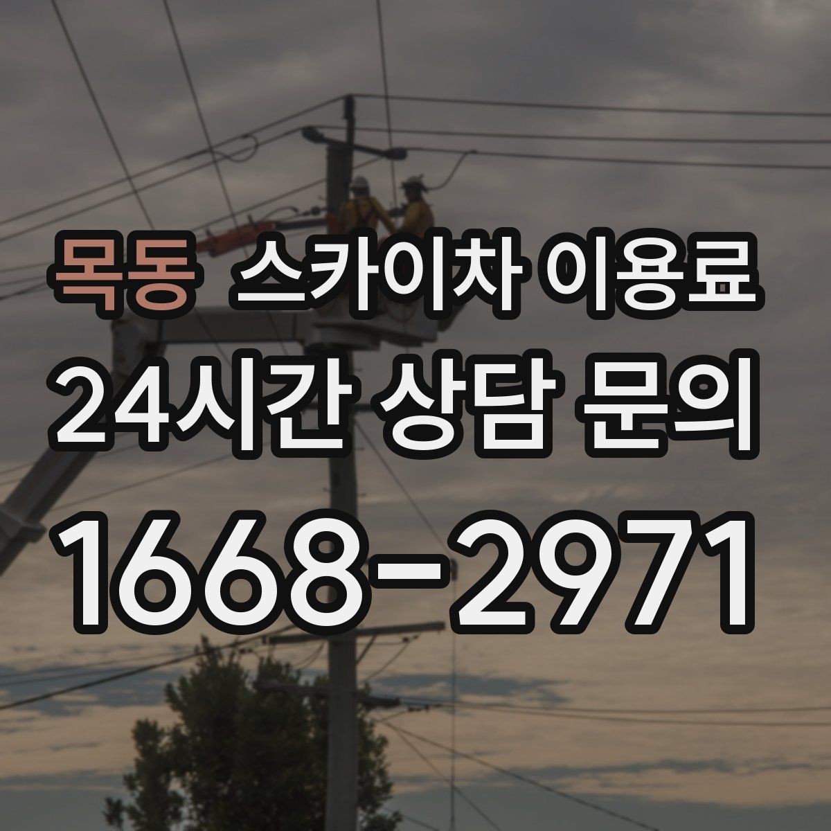 목동 스카이차 이용료 선택 전에 살펴볼 운용 조건