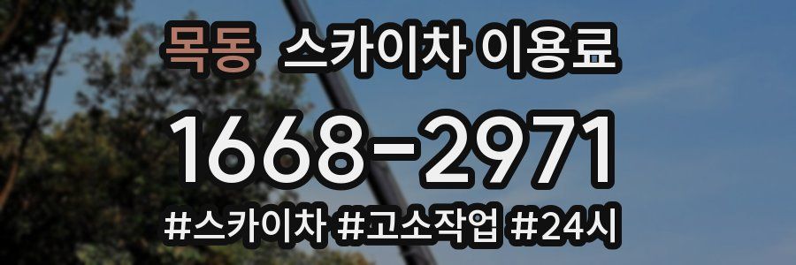 목동 스카이차 이용료
