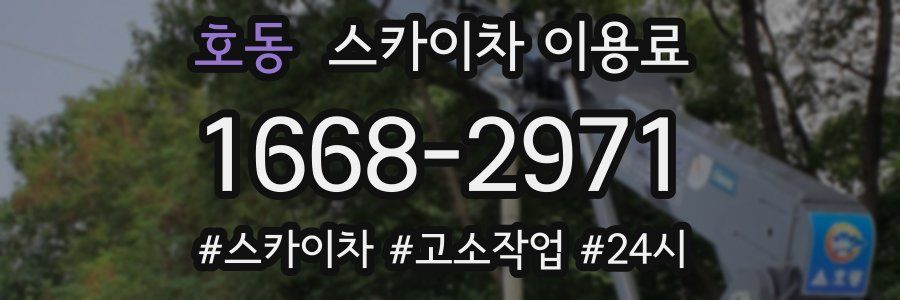 호동 스카이차 이용료