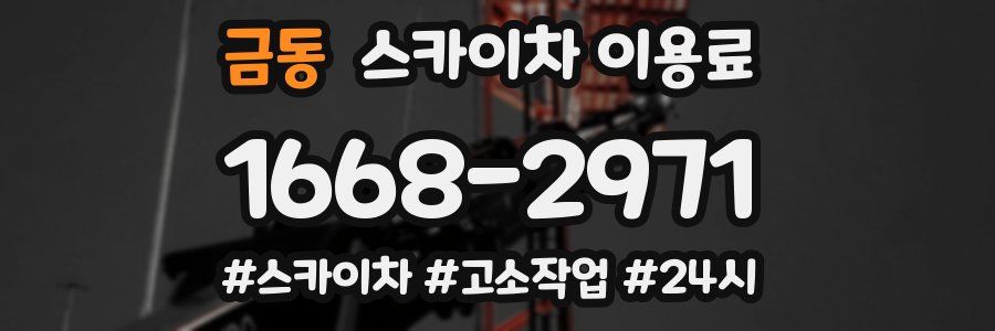 금동 스카이차 이용료