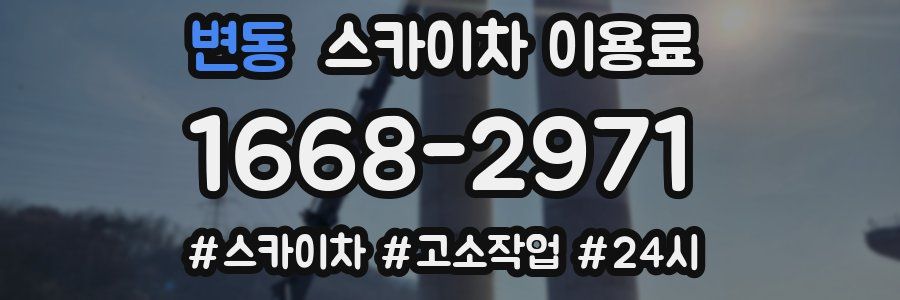 변동 스카이차 이용료