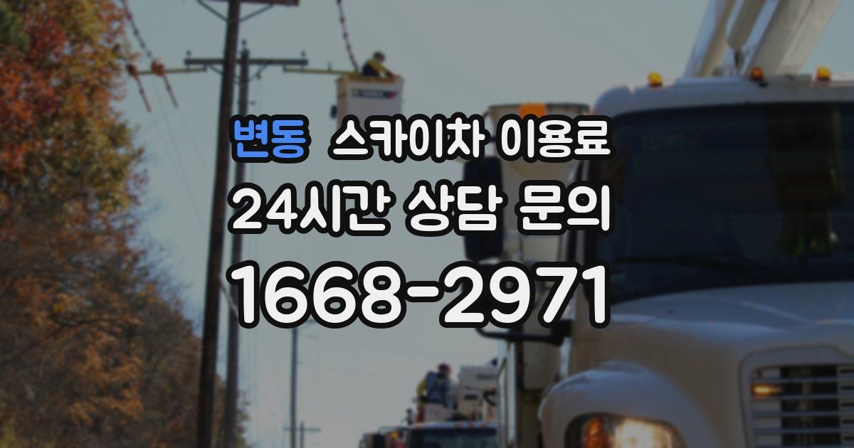 변동 스카이차 이용료