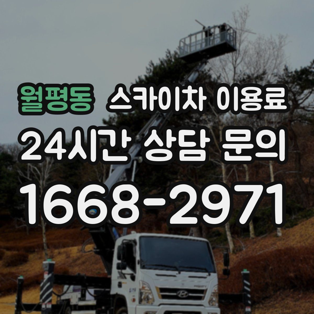 월평동 스카이차 이용료