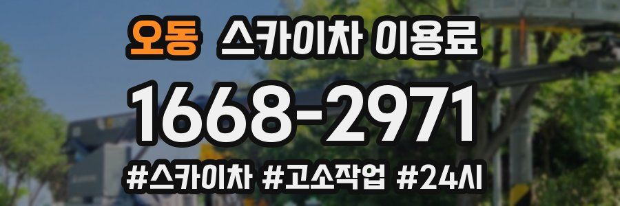 오동 스카이차 이용료