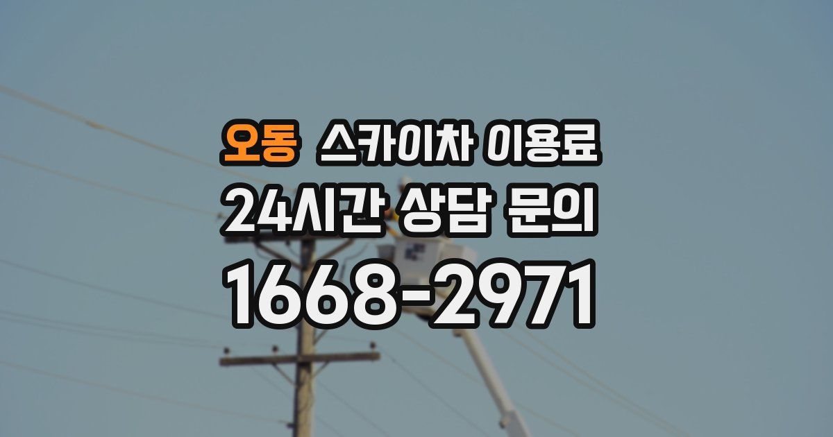 오동 스카이차 이용료