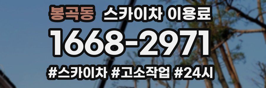 봉곡동 스카이차 이용료