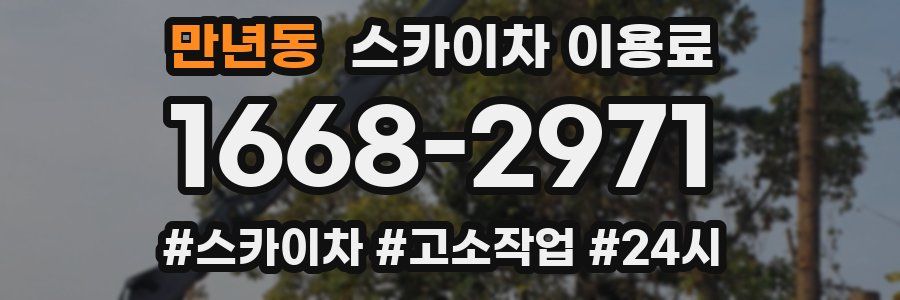 만년동 스카이차 이용료