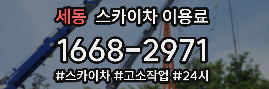 세동 스카이차 이용료