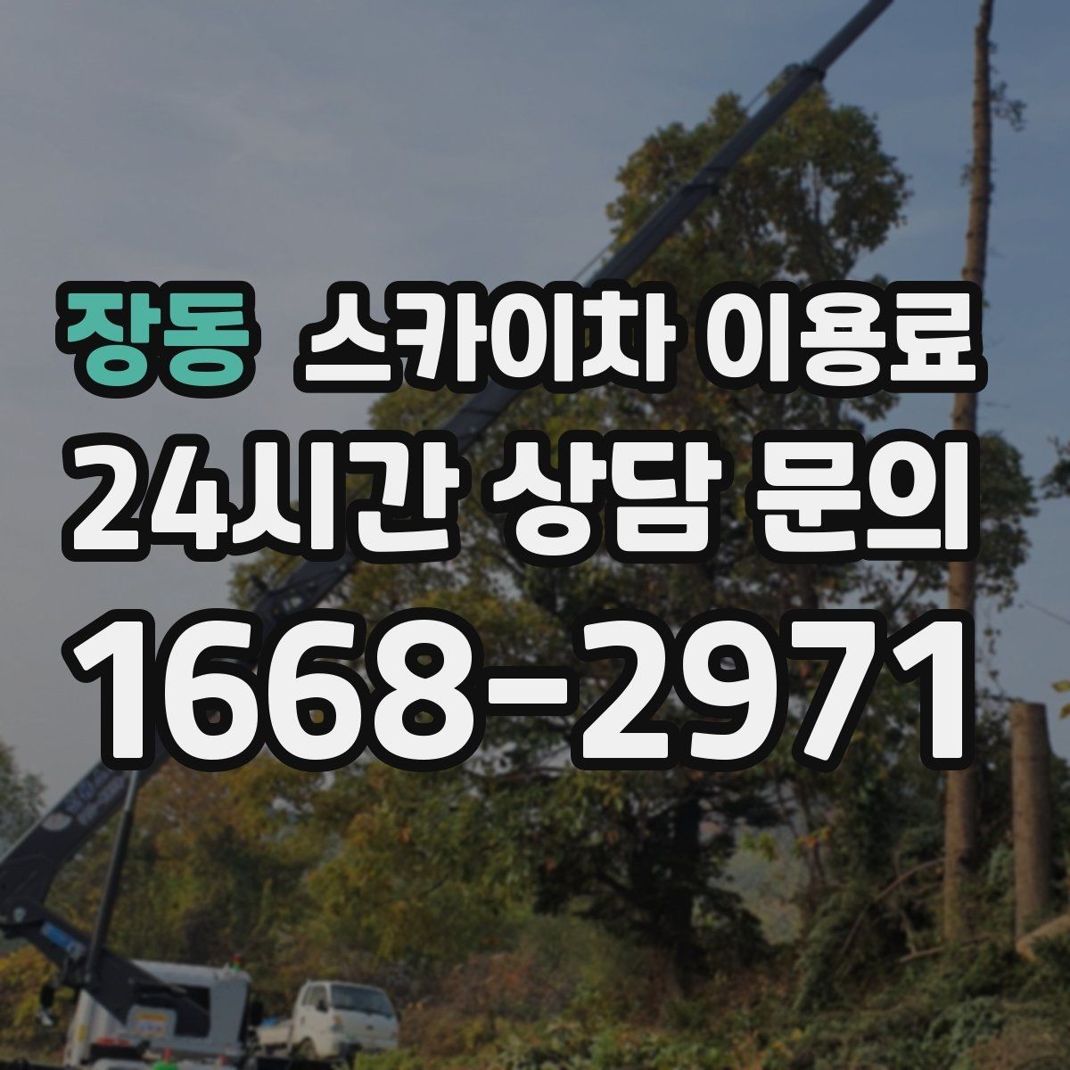 장동 스카이차 이용료 기준과 현장별 차이 알아보기