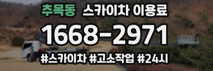 추목동 스카이차 이용료