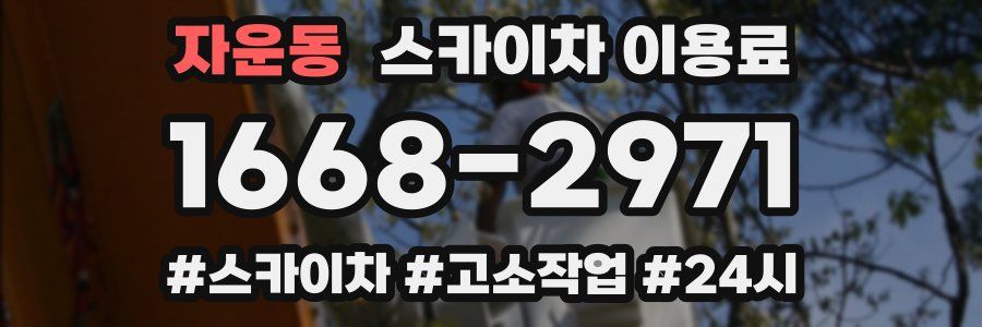 자운동 스카이차 이용료