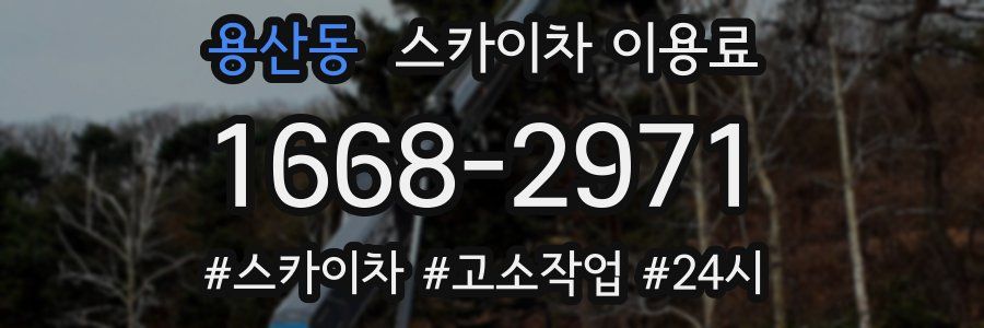 용산동 스카이차 이용료