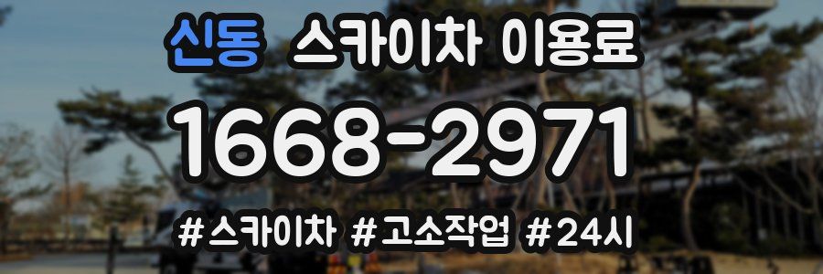 신동 스카이차 이용료