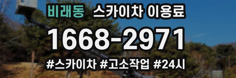 비래동 스카이차 이용료
