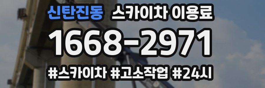 신탄진동 스카이차 이용료