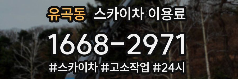 유곡동 스카이차 이용료