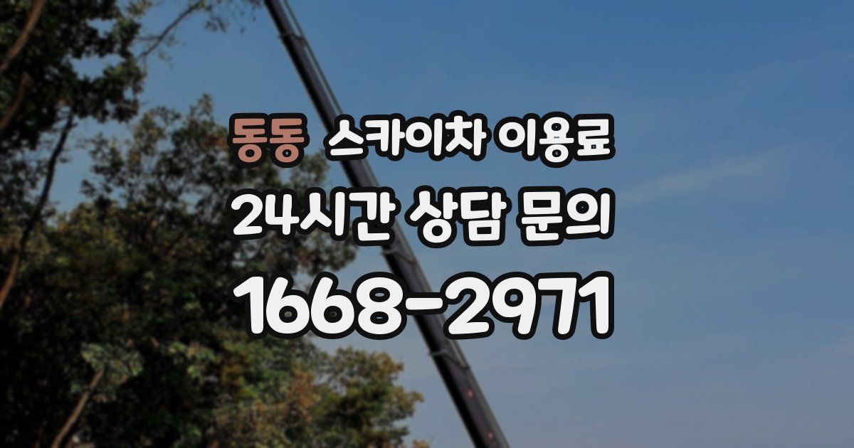 동동 스카이차 이용료