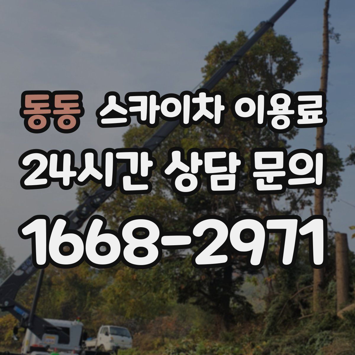 동동 스카이차 이용료