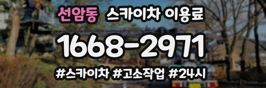 선암동 스카이차 이용료