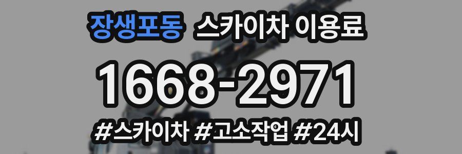 장생포동 스카이차 이용료
