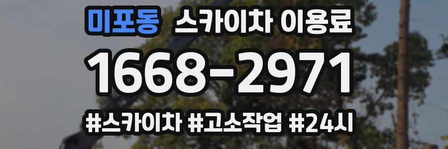 미포동 스카이차 이용료