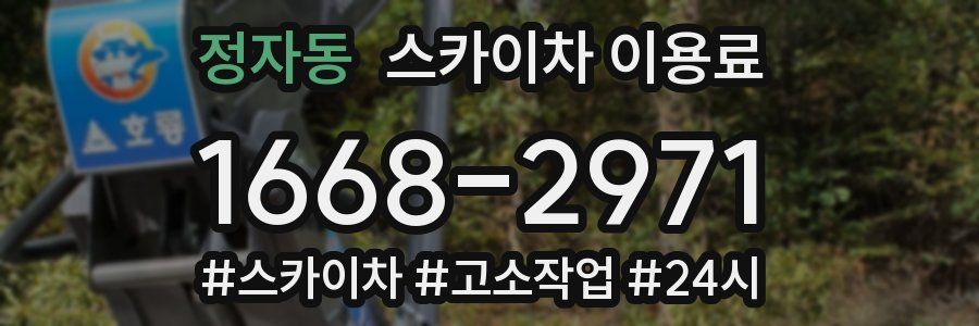 정자동 스카이차 이용료