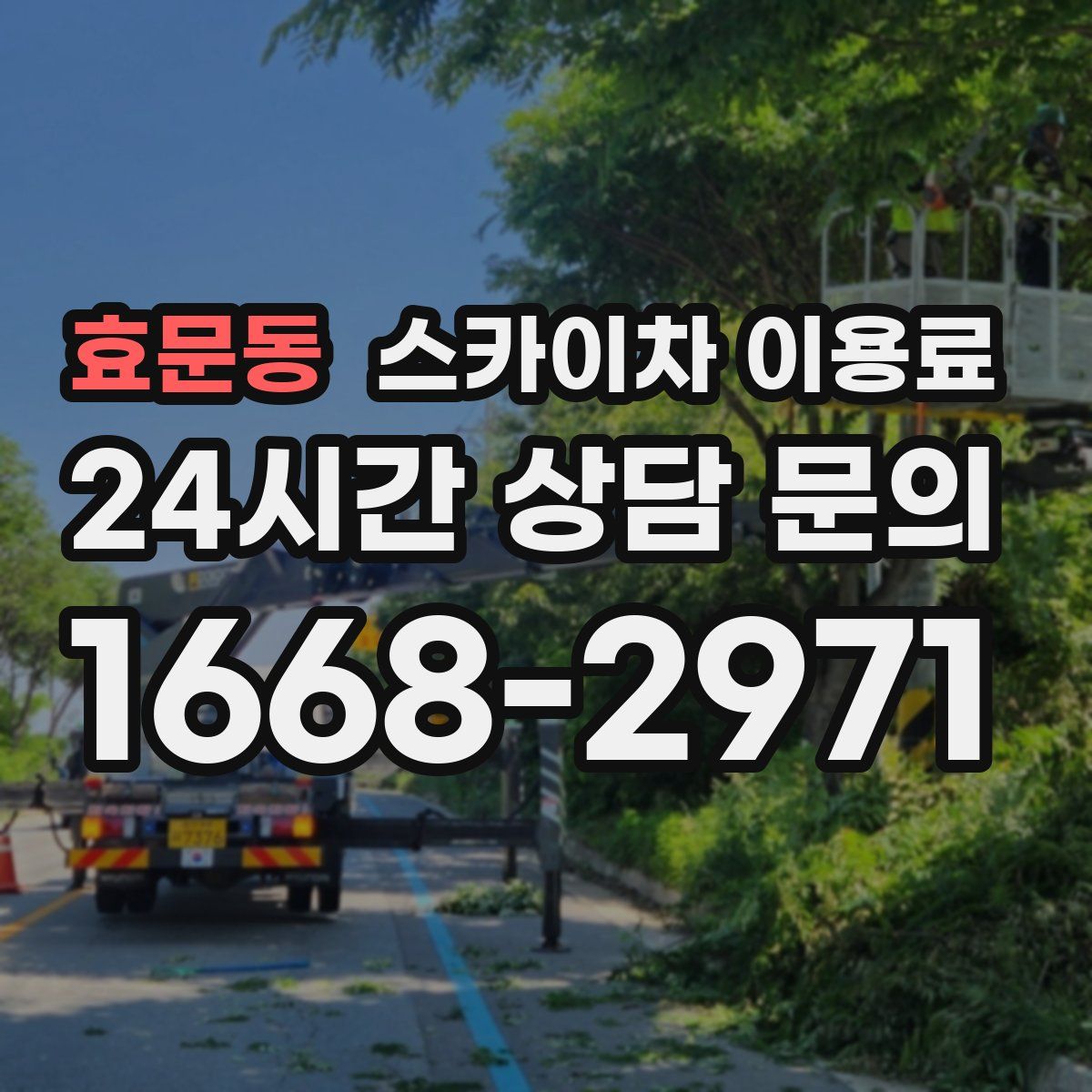 효문동 스카이차 이용료