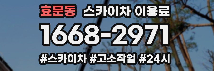 효문동 스카이차 이용료