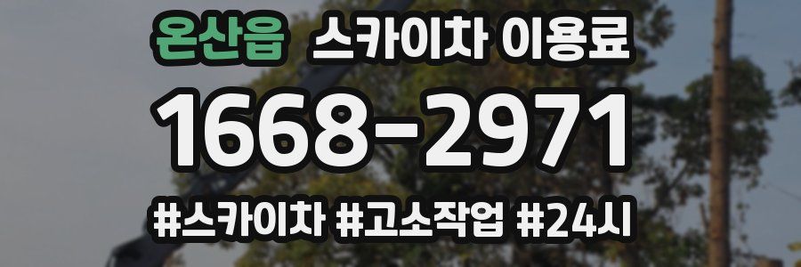 온산읍 스카이차 이용료