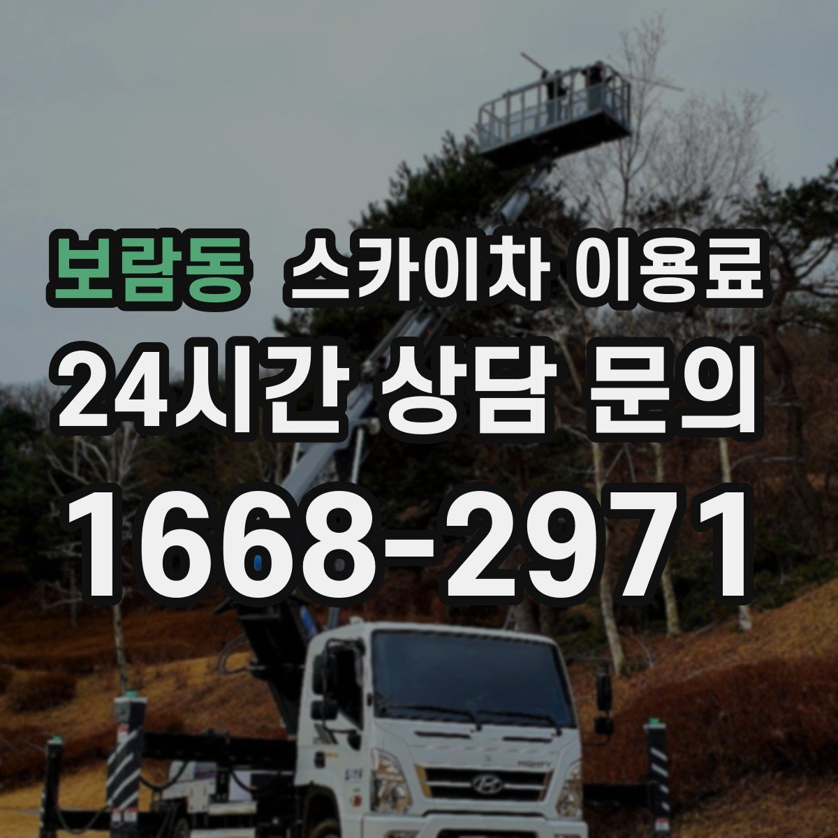 보람동 스카이차 이용료