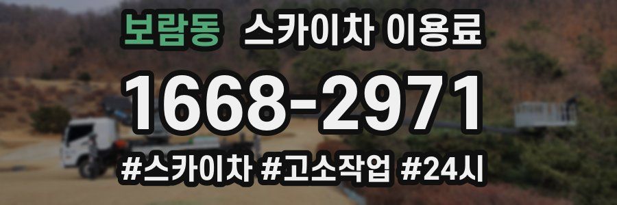 보람동 스카이차 이용료