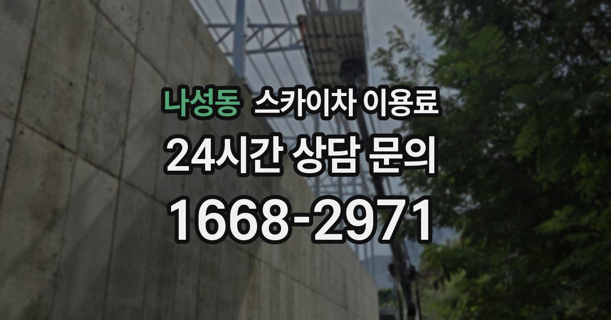 나성동 스카이차 이용료