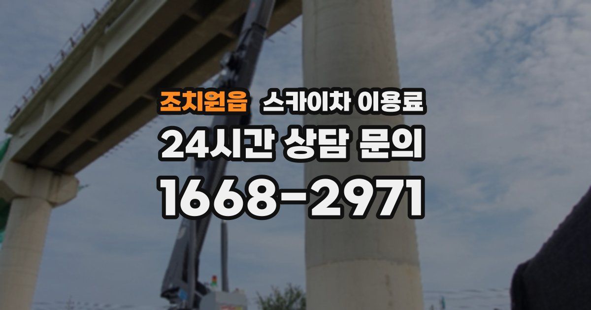 조치원읍 스카이차 이용료