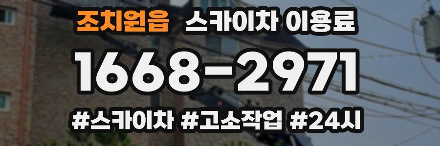조치원읍 스카이차 이용료