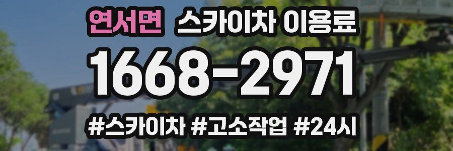 연서면 스카이차 이용료